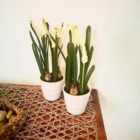 Appartamento Wink Cozy Ibiza città